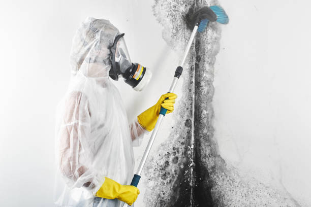 Best Airborne Mold Testing  in Wadley, GA