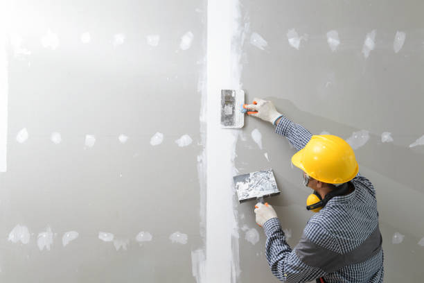 Best Mold Prevention Services  in Wadley, GA