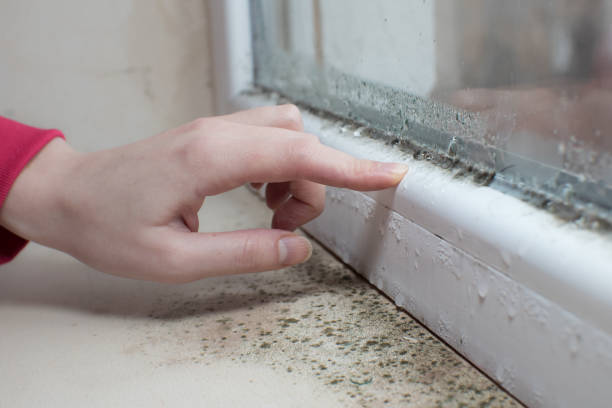 Best Air Quality Testing for Mold Spores  in Wadley, GA